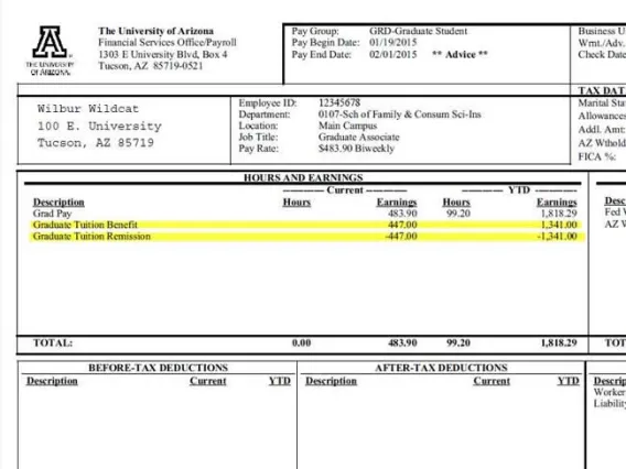 Figure - GA Paystub