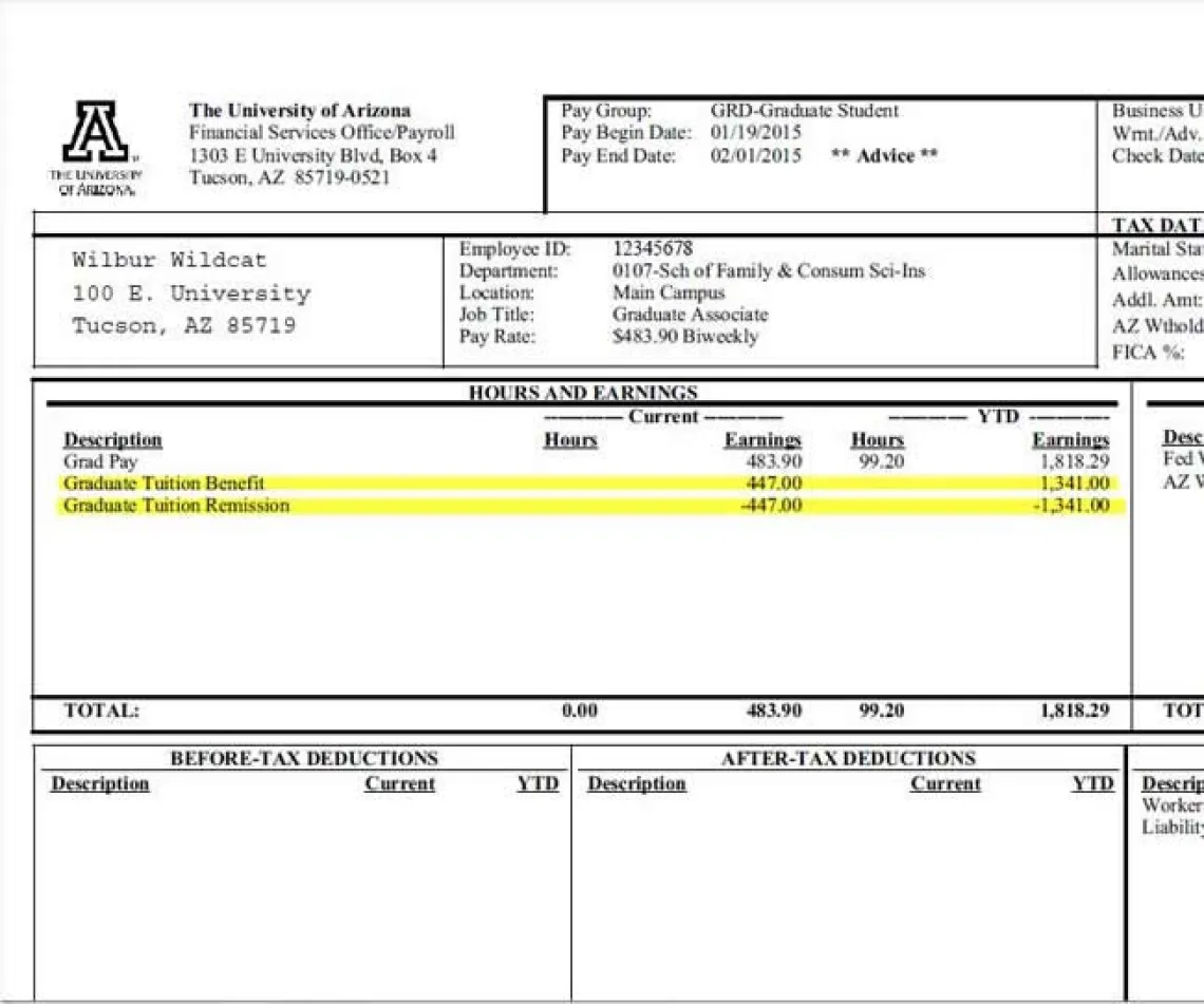 Figure - GA Paystub